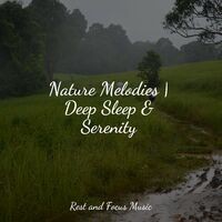Nature Melodies | Deep Sleep & Serenity