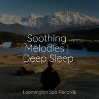 Soothing Melodies | Deep Sleep