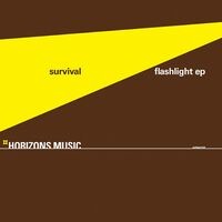 Flashlight EP