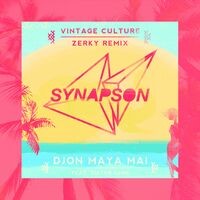 Djon Maya Maï (feat. Victor Démé) (Vintage Culture and Zerky Remix)