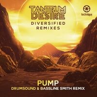 Pump (Drumsound & Bassline Smith Remix)
