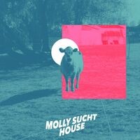 Molly sucht House