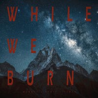 While We Burn