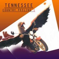 Country Feeling, Vol.1