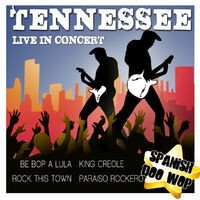 Spanish Doo Wop Tennessee Live in Concert