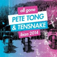 All Gone Pete Tong & Tensnake Ibiza 2014 Mixtape