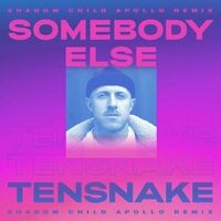 Somebody Else (Shadow Child Apollo Remix)