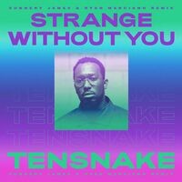 Strange Without You (Sunnery James & Ryan Marciano Remix)