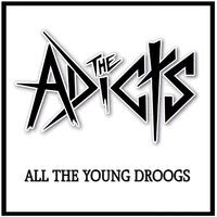 All The Young Droogs