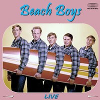 Beach Boys Live