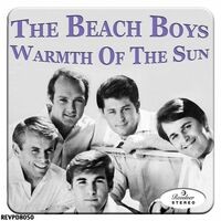 The Beach Boys - Warmth of the Sun