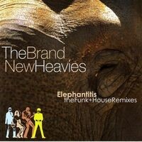 Elephantitis: The Funk And House Remixes