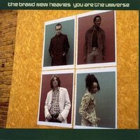 You Are The Universe (International Release)