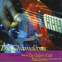 Live At The Gallery Club Manchester 1982