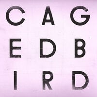 A Caged Bird/Imitations of Life