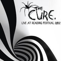 Live at Reading Festival 2012
