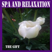 Spa and Relaxation