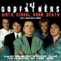 Birth, School, Work, Death: Hits, Rarities & Gems