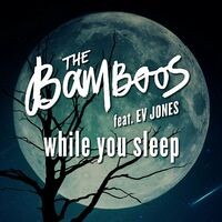 While You Sleep (feat. Ev Jones)