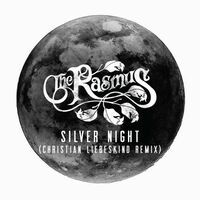 Silver Night (Christian Liebeskind Remix)