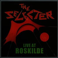 Live At Roskilde