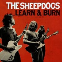 Learn and Burn (Deluxe)