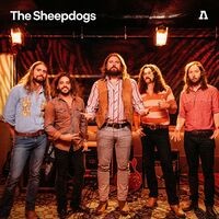 The Sheepdogs on Audiotree Live (Live)