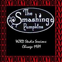 WZRD Studio Sessions, Chicago, March 16th, 1989