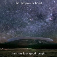 The Stars Look Good Tonight - Single