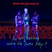 Do we dream under the same sky? (Walter Van Beirendonck presents Neon Shadow)