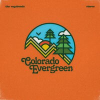 Colorado Evergreen