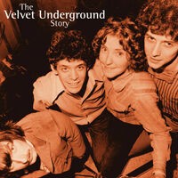 The Velvet Underground Story 2CD Set