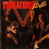 The Vibrators: Live