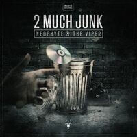 2 Much Junk