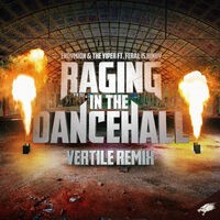 Raging in the Dancehall (Vertile Remix)