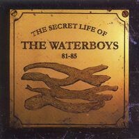 The Secret Life of The Waterboys (1981-1985)