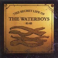 The Secret Life Of The Waterboys '81-'85
