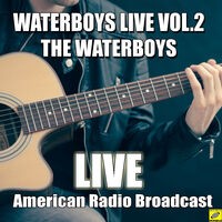 The Waterboys Vol. 2 (Live)