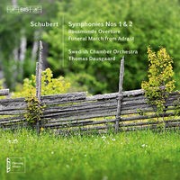 Schubert: Orchestral Works