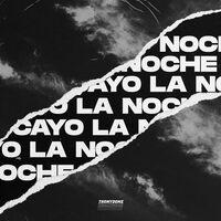 Cayo La Noche (Remix)