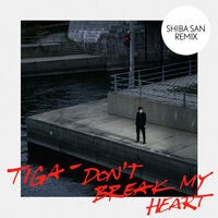 Don’t Break My Heart (Shiba San Remix)