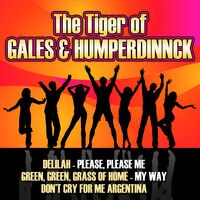 The Tiger of Gales & Humperdinnck