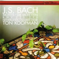Bach, J.S.: 6 Motets