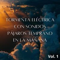 Tormenta Eléctrica Con Sonidos Pájaros Temprano En La Mañana Vol. 1