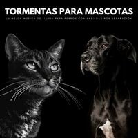 Tormentas Para Mascotas: La Mejor Música De Lluvia Para Perros Con Ansiedad Por Separación