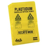 Plaqtudum (Tropkillaz Remix)