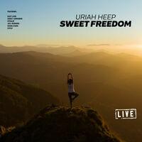 Sweet Freedom (Live)