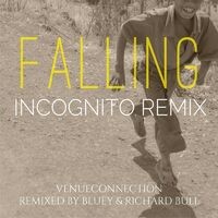 Falling (Incognito Remix)