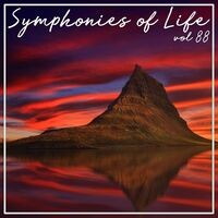 Symphonies of Life, Vol. 88 - Shostakovich, Schnittke: Rayok, Chamber Symphony op. 110, Prelude & Scherzo