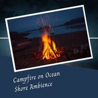 Campfire on Ocean Shore Ambience - 3 Hours
